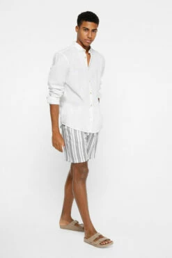 Springfield Bermuda Ligera